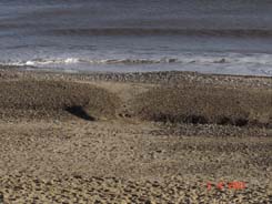 A Shingle Beach - Is this the future for Gorleston?