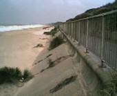 Gorleston Beach - Grass is still growing in the sea wall despite storms