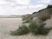 Gorleston Beach - August 2005