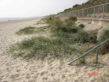 Gorleston Beach - May 2009